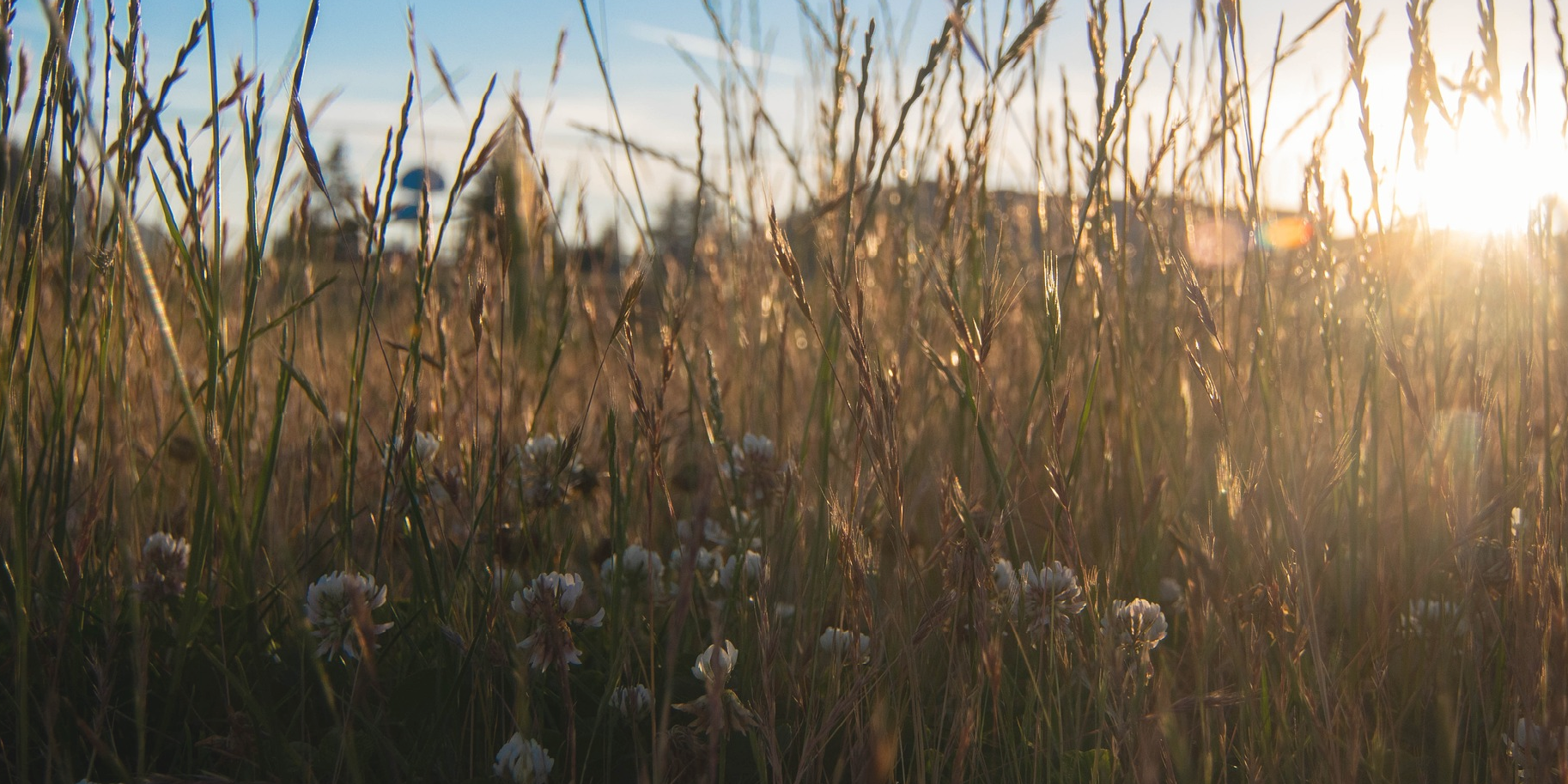Accueil-header-Foodbridge