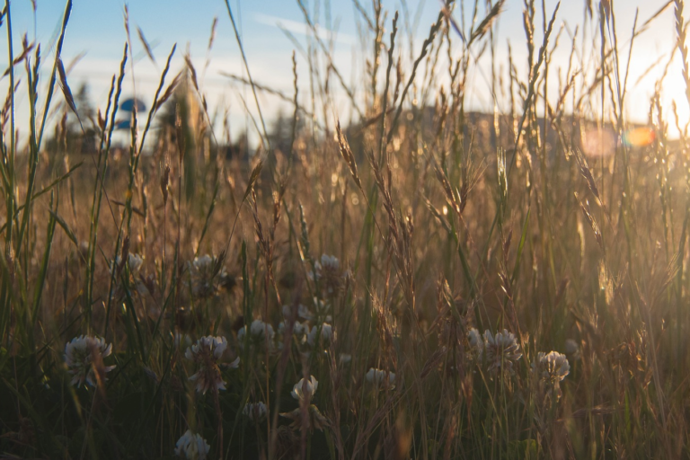 Accueil-header-Foodbridge