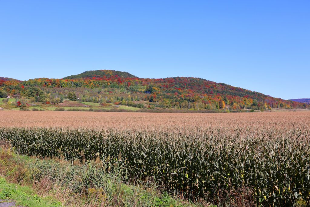 Veiller au grain : mise à jour des projets et lancement des cohortes 2026–2027