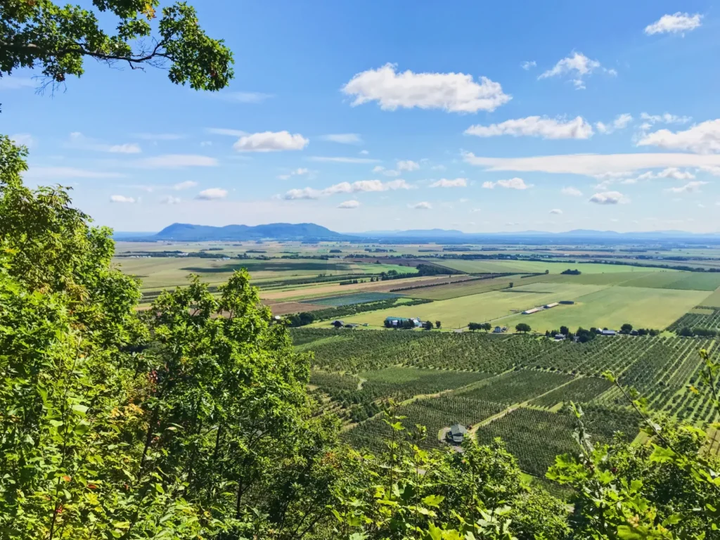 L'agriculture québécoise se transforme, les cultures de la Montérégie se diversifient