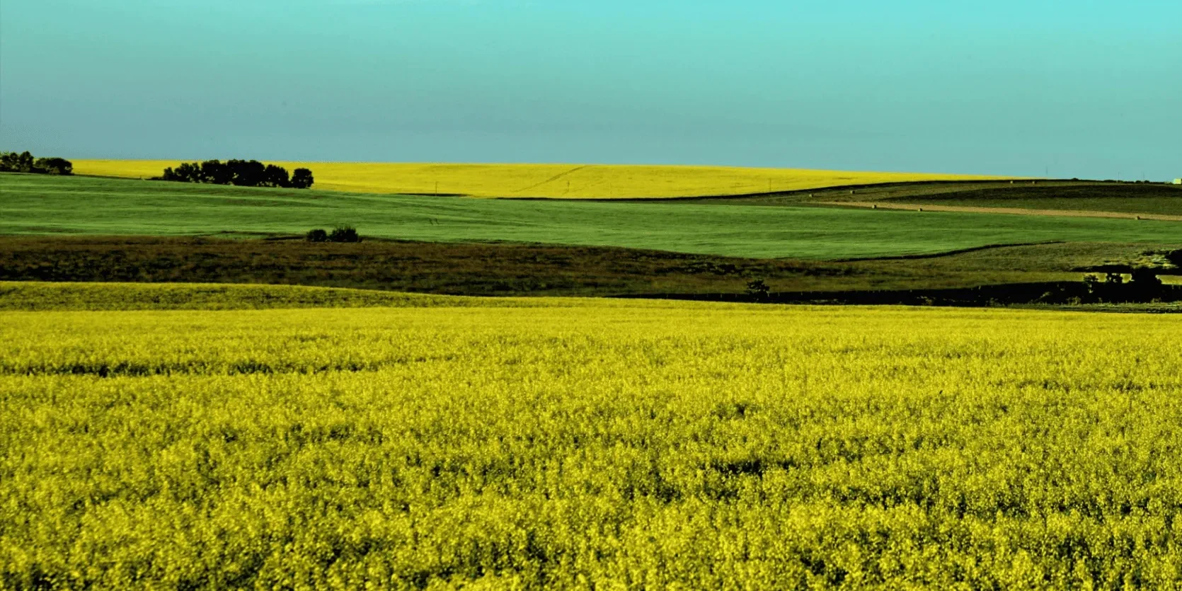 Strategic-Framework-for-Accelerating-Sustainable-Agriculture-in-Canada-2048×1214