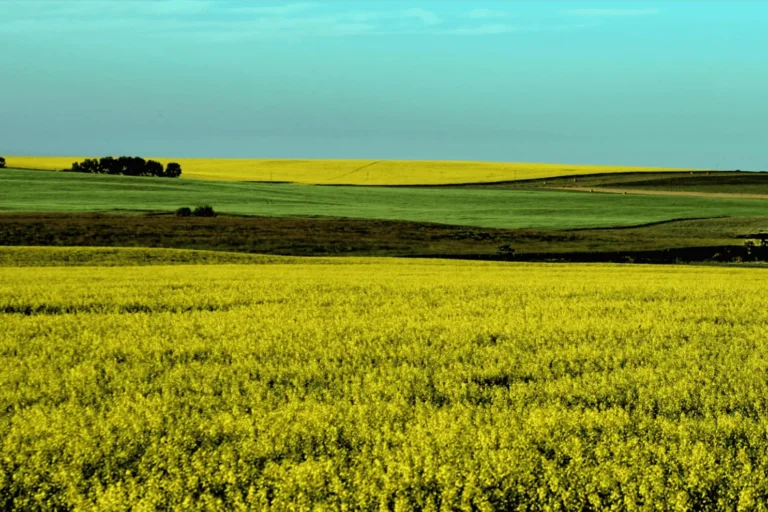 Strategic-Framework-for-Accelerating-Sustainable-Agriculture-in-Canada-2048×1214