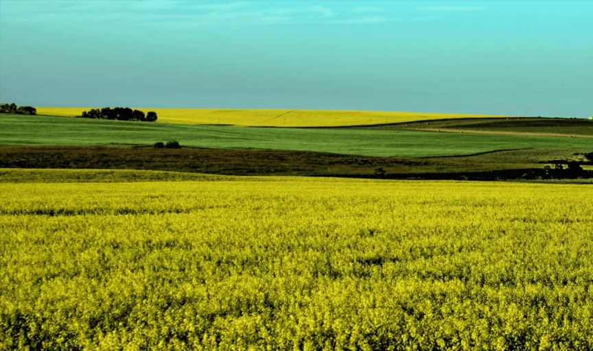 Strategic-Framework-for-Accelerating-Sustainable-Agriculture-in-Canada-2048×1214