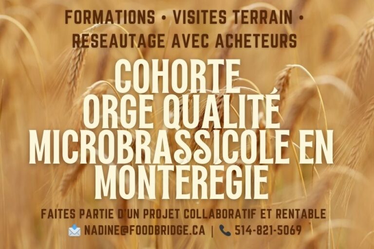 cohorte régionale Orge de qualité microbrassicole en Montérégie
