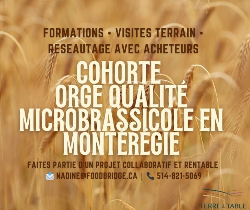 cohorte régionale Orge de qualité microbrassicole en Montérégie