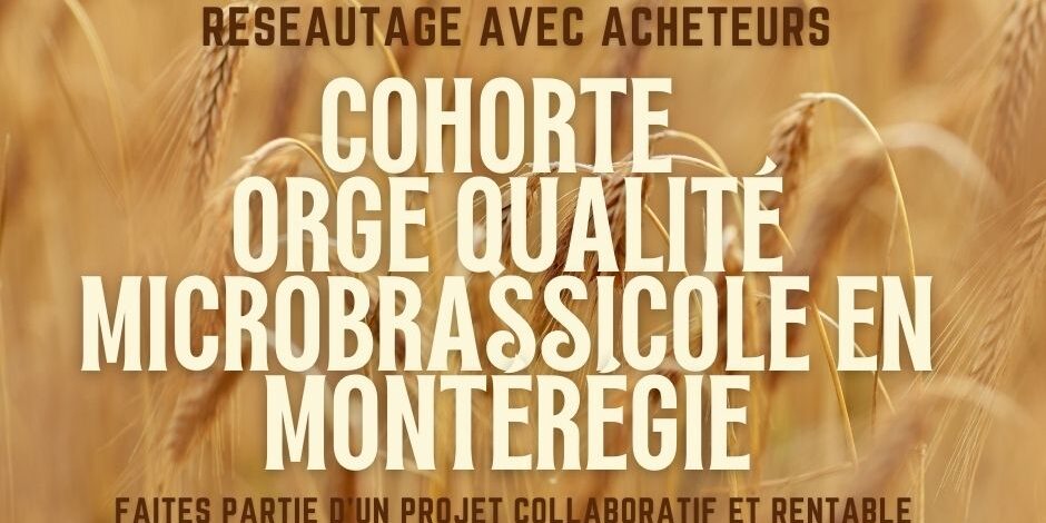 cohorte régionale Orge de qualité microbrassicole en Montérégie