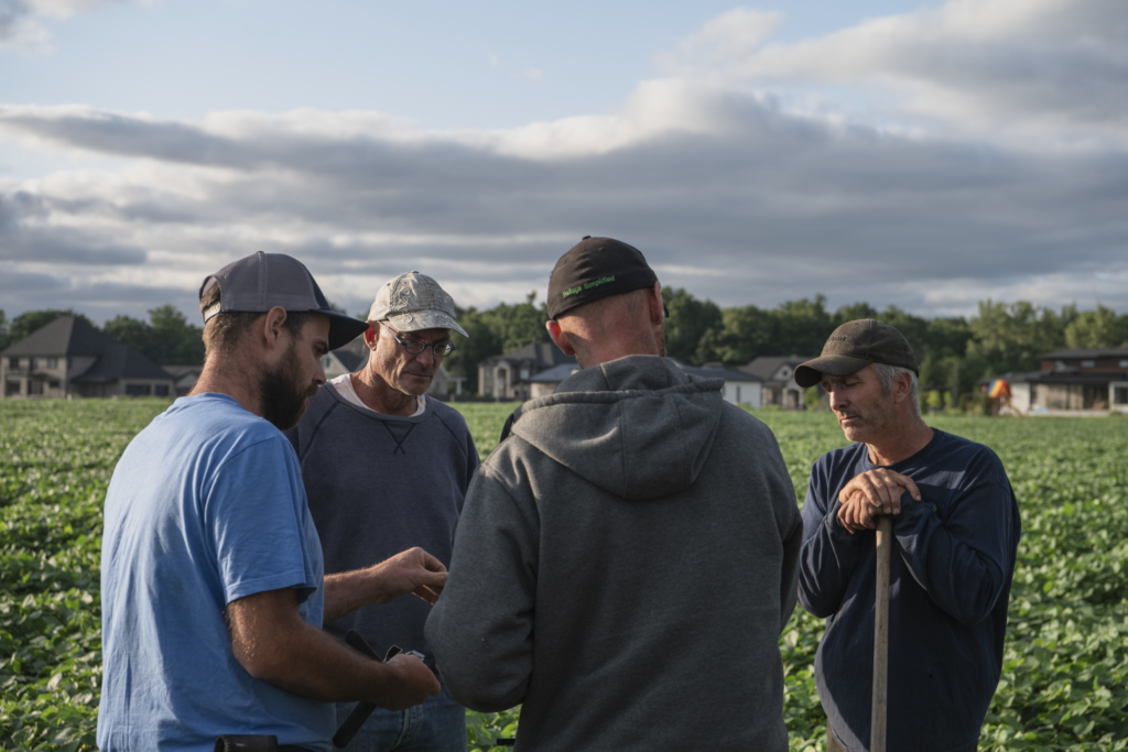 Chez Terre à table, nous croyons que la confiance, la collaboration et l’expertise-terrain font bouger les choses et peu d’organisations incarnent ces valeurs aussi bien que l’Ontario Soil Network (OSN).