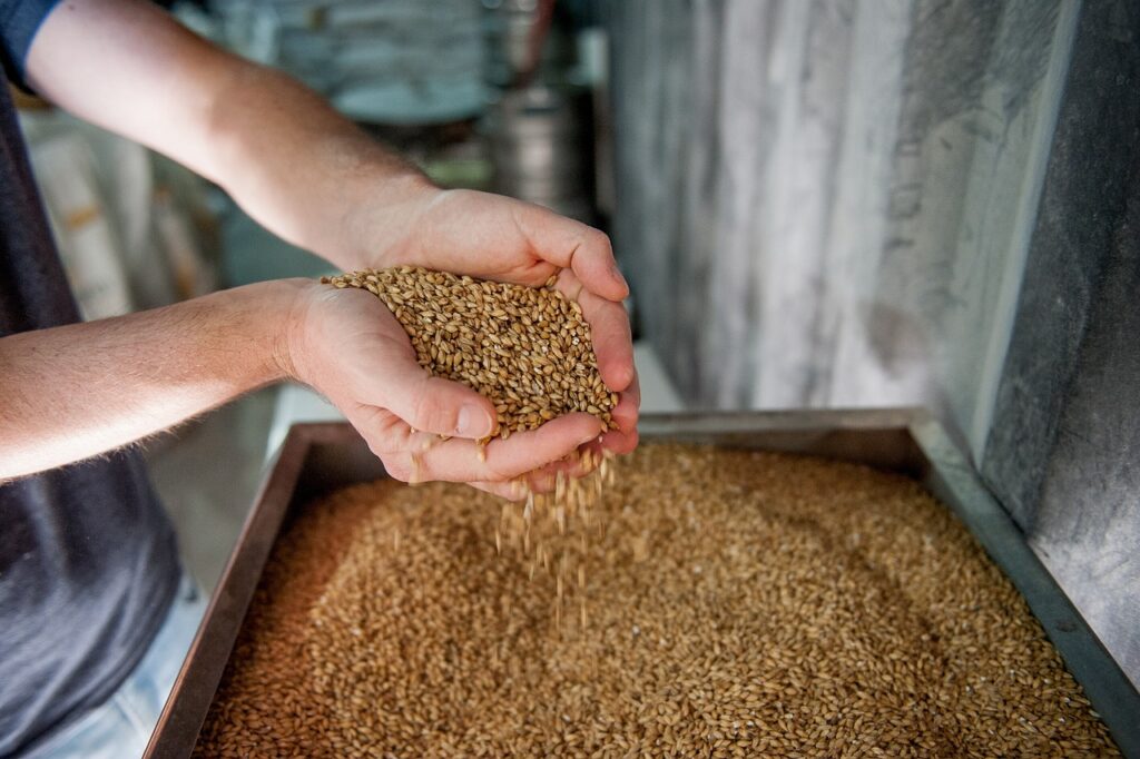 L’initiative Veiller au grain pour un avenir durable franchit une nouvelle étape grâce à l’engagement d’acteurs agricoles et agroalimentaires dans trois projets pilotes visant la diversification des cultures.