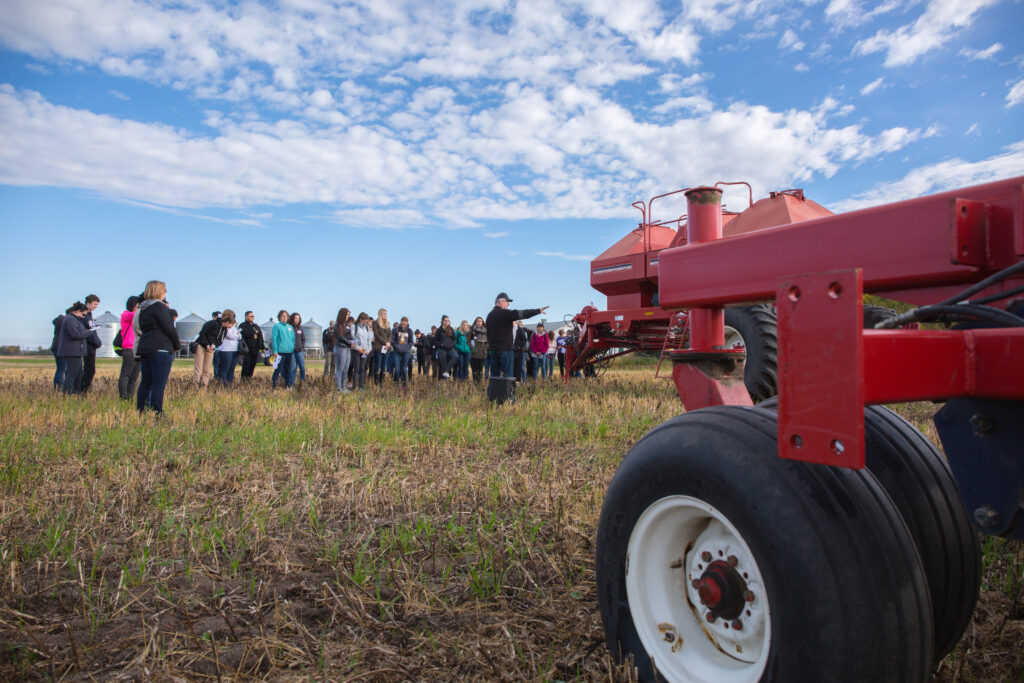 À l’écoute du terrain : ce que les producteurs de grains disent des pratiques durables