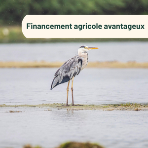 Financement agricole avantageux
