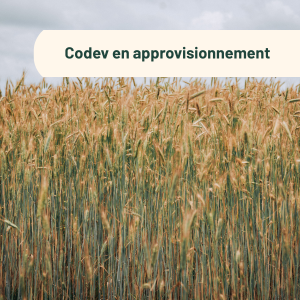 Codev en approvisionnement Codev en approvisionnement
