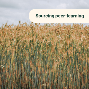 Sourcing peer-learning Sourcing peer-learning